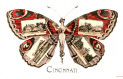 Butterfly Girl 4.jpg (183451 bytes)