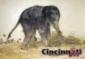Chrome-Zoo Elephant.jpg (777652 bytes)