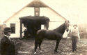 Horse-Camp Washington.jpg (220574 bytes)