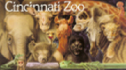 Zoo-New Ones.jpg (1073457 bytes)