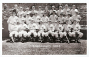 1936 Reds Team.jpg (212772 bytes)