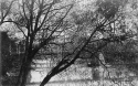 Loveland-River Scene.jpg (355544 bytes)