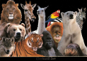 Zoo Animals.jpg (335802 bytes)