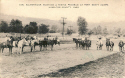 Fort Scoot Equestrians.jpg (585744 bytes)