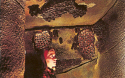 Natural History-Cave bats.jpg (828480 bytes)