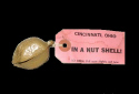 Nut Shell 2 (1).jpg (12593 bytes)