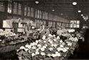 Flower Market Interior.jpg (252099 bytes)