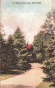 Clifton Driveway.jpg (255850 bytes)