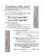 Lion Brewery 2.jpg (731349 bytes)