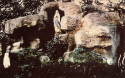 St. Clare Convent Grotto.jpg (351140 bytes)