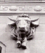 Gwynne Building Cows.jpg (127876 bytes)