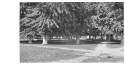 Lawrenceburg Park paths.jpg (133071 bytes)