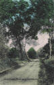 Duck Creek Road.jpg (121595 bytes)